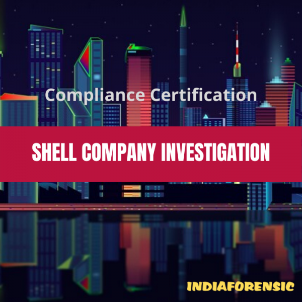 Shell Company Investigation