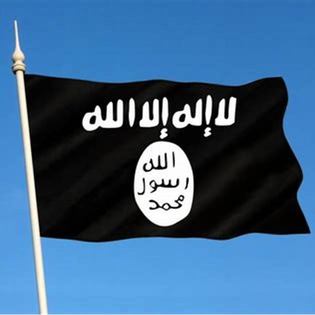 Islamic State of Iraq and the Levant (ISIL/ISIS)